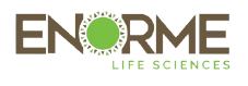 Enorme Life Sciences Logo
