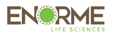 Enorme custom contract vitamin supplement manufacturer logo reverse