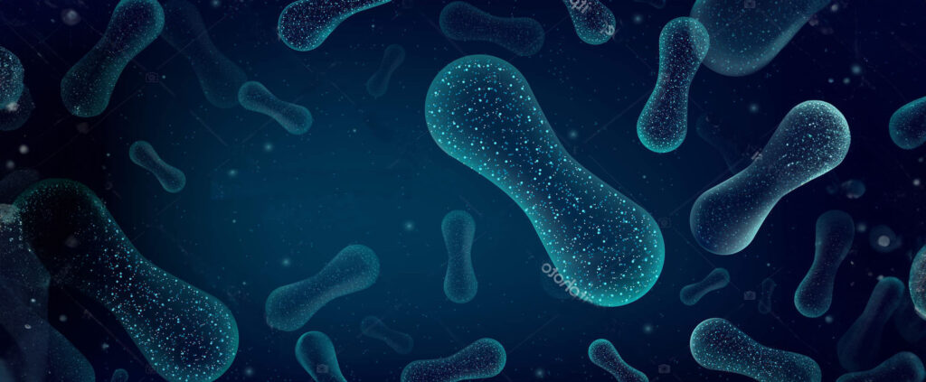 USA Probiotics Supplement Manufacturer