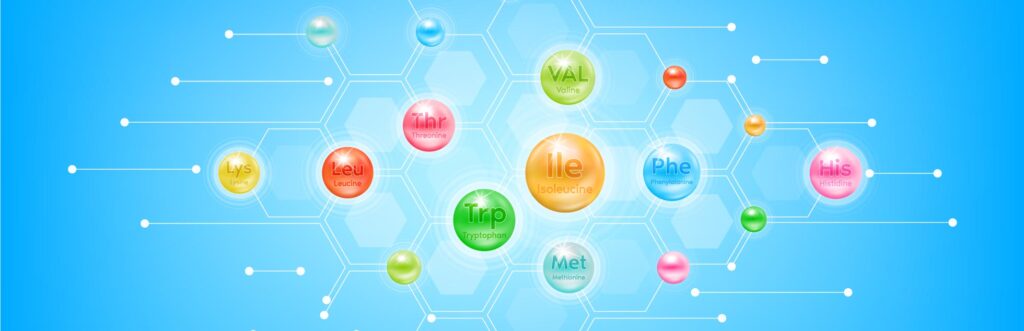 BCAA Supplement Contract Manufacturer
