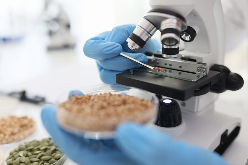 Professional performing microbiological tests in a lab setting.