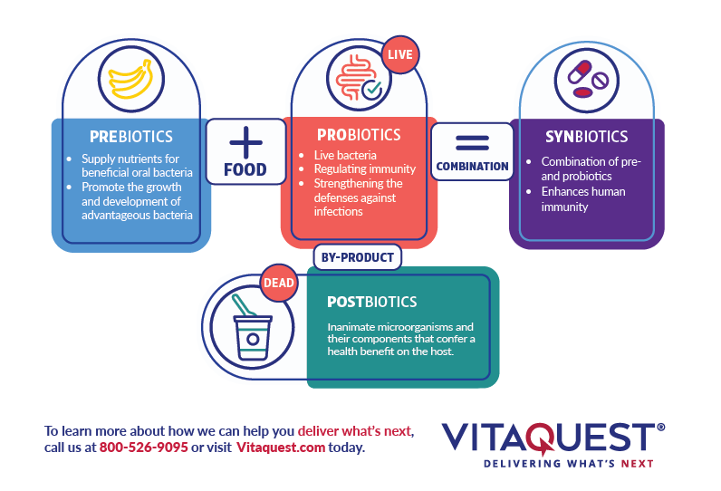 Infographic Explaining The Benefits of Synbiotics